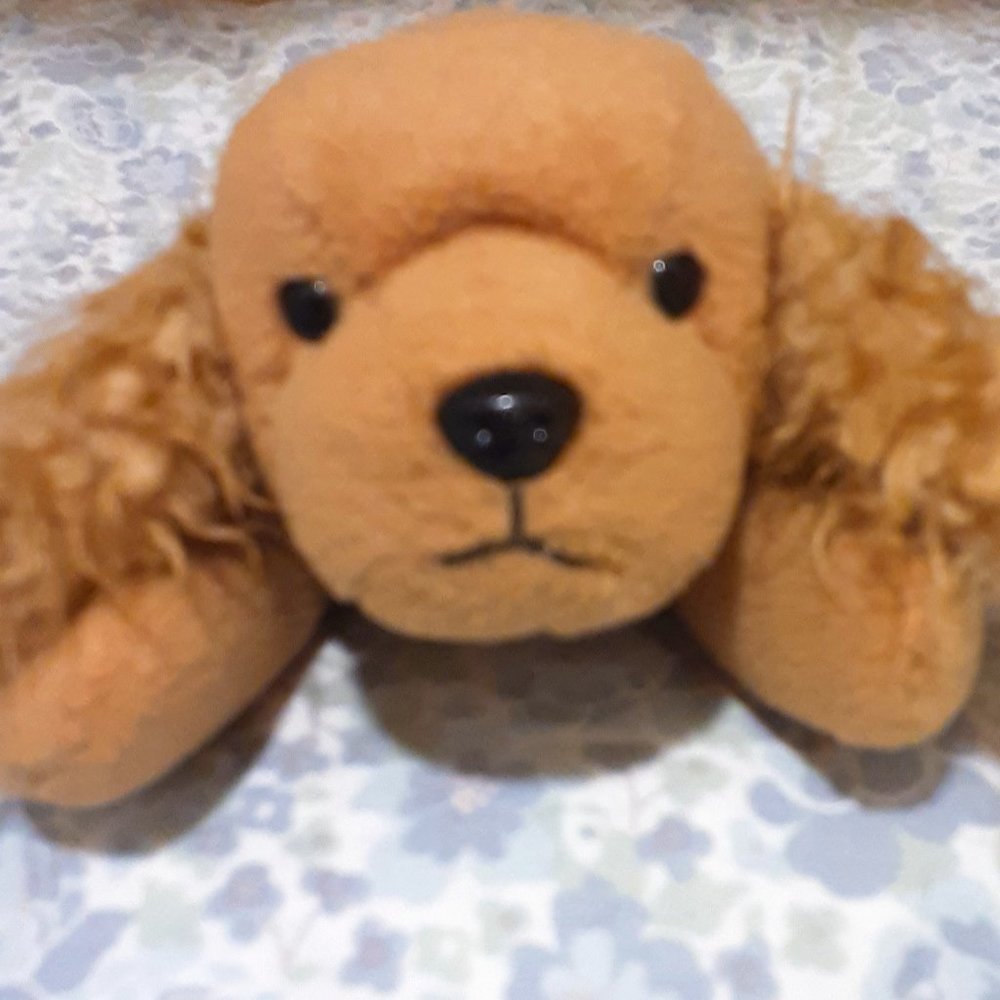Spunky, Ty Beanie Baby, 1997, Cocker Spaniel